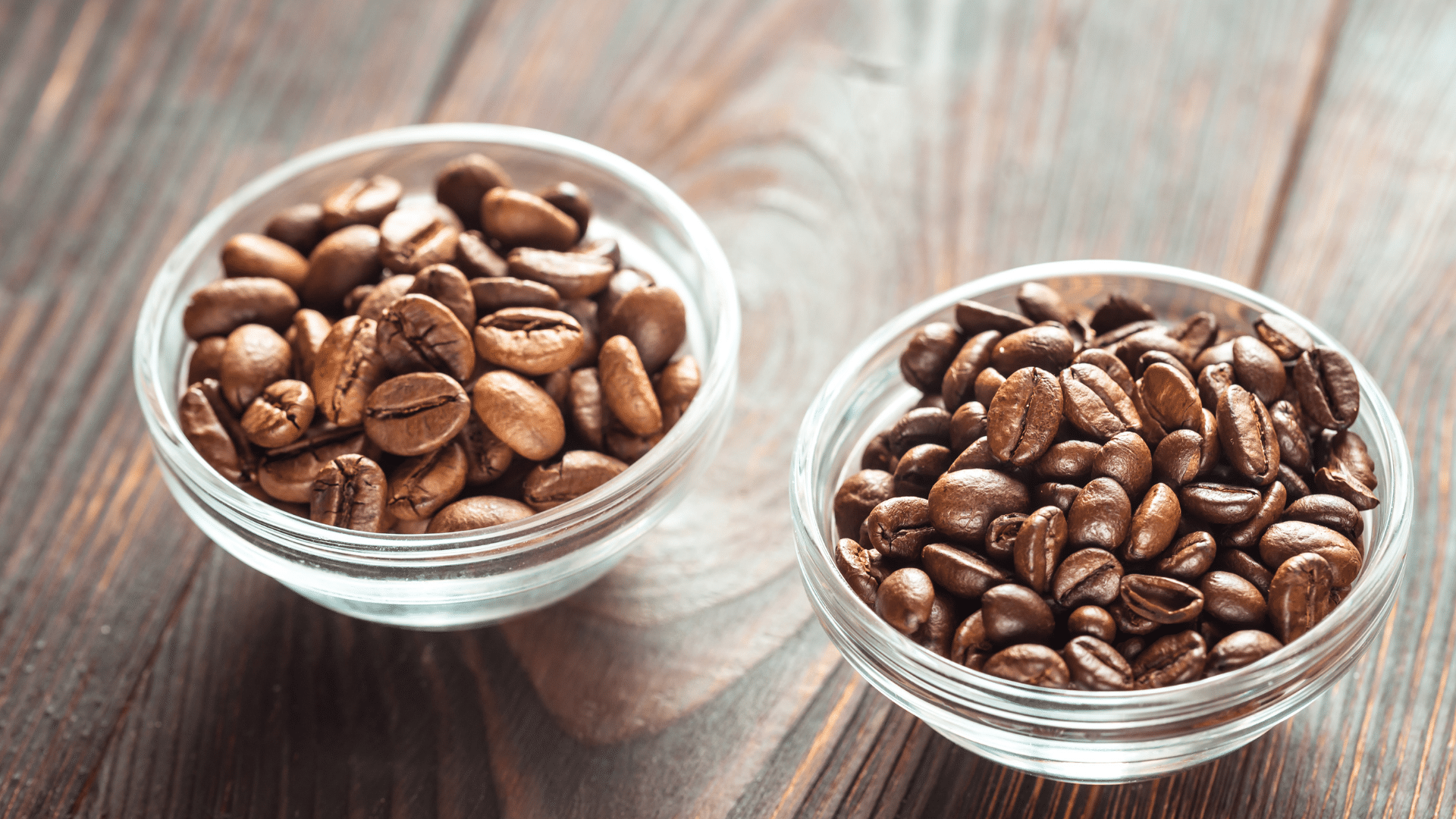 Bols de grains de café arabica et robusta