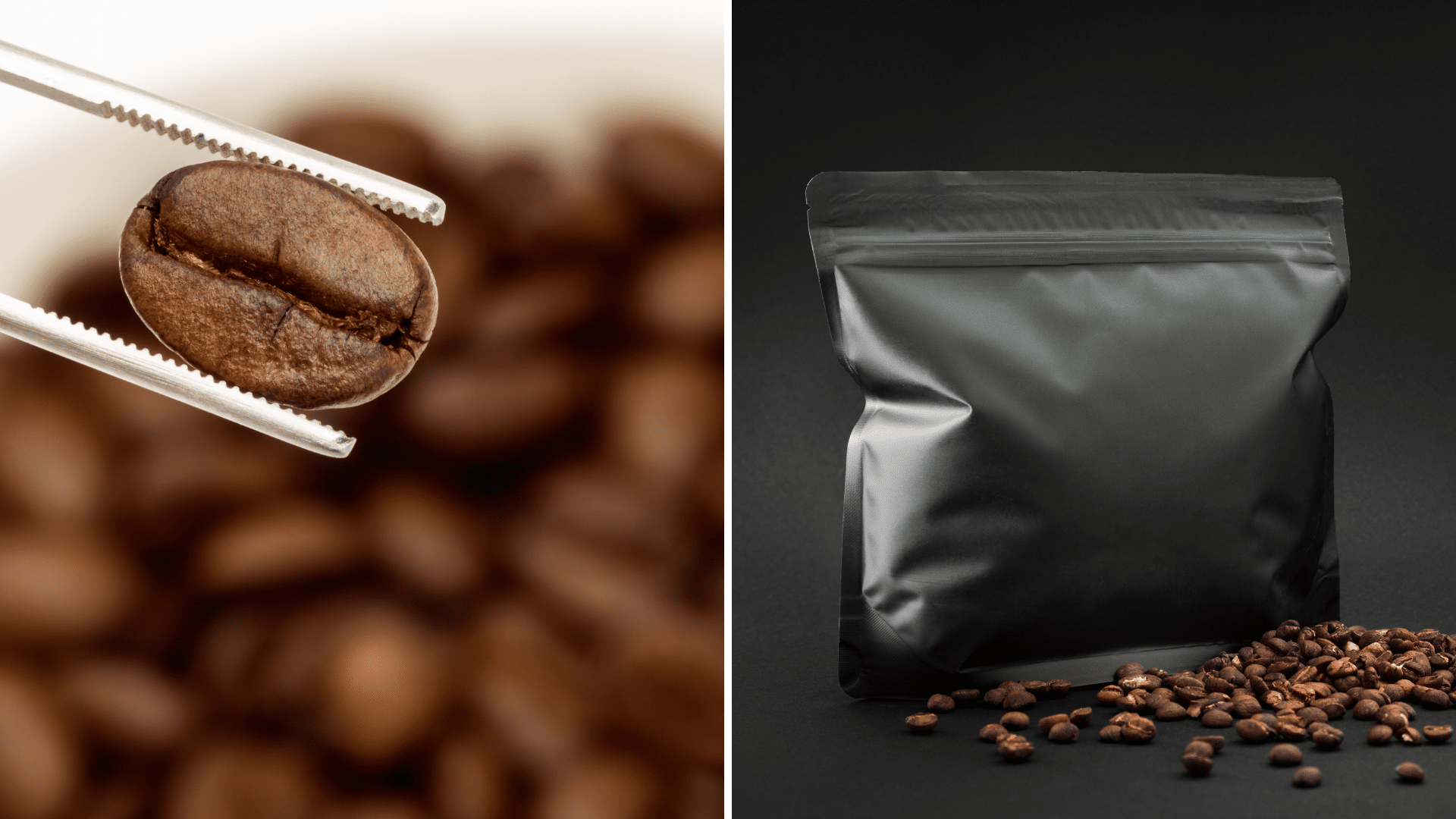 Comment choisir son café en grain